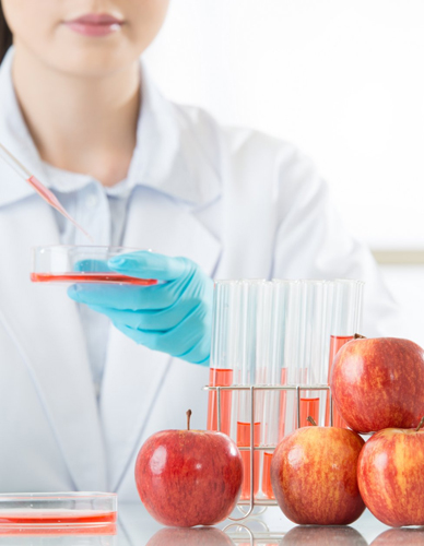 ISO-HACCP Certification